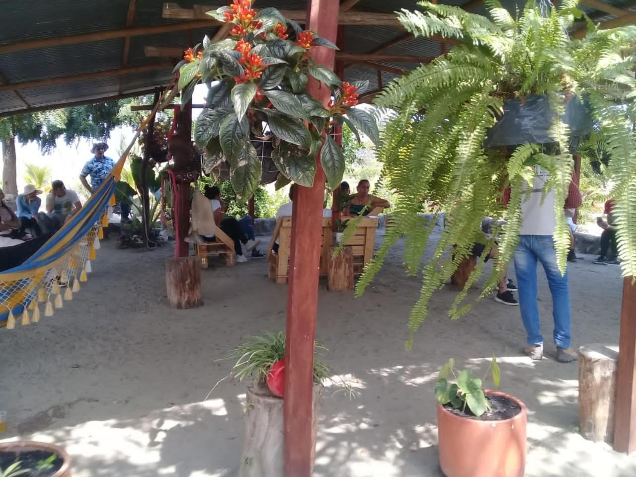 Pachingo La Primavera Villavieja Room photo