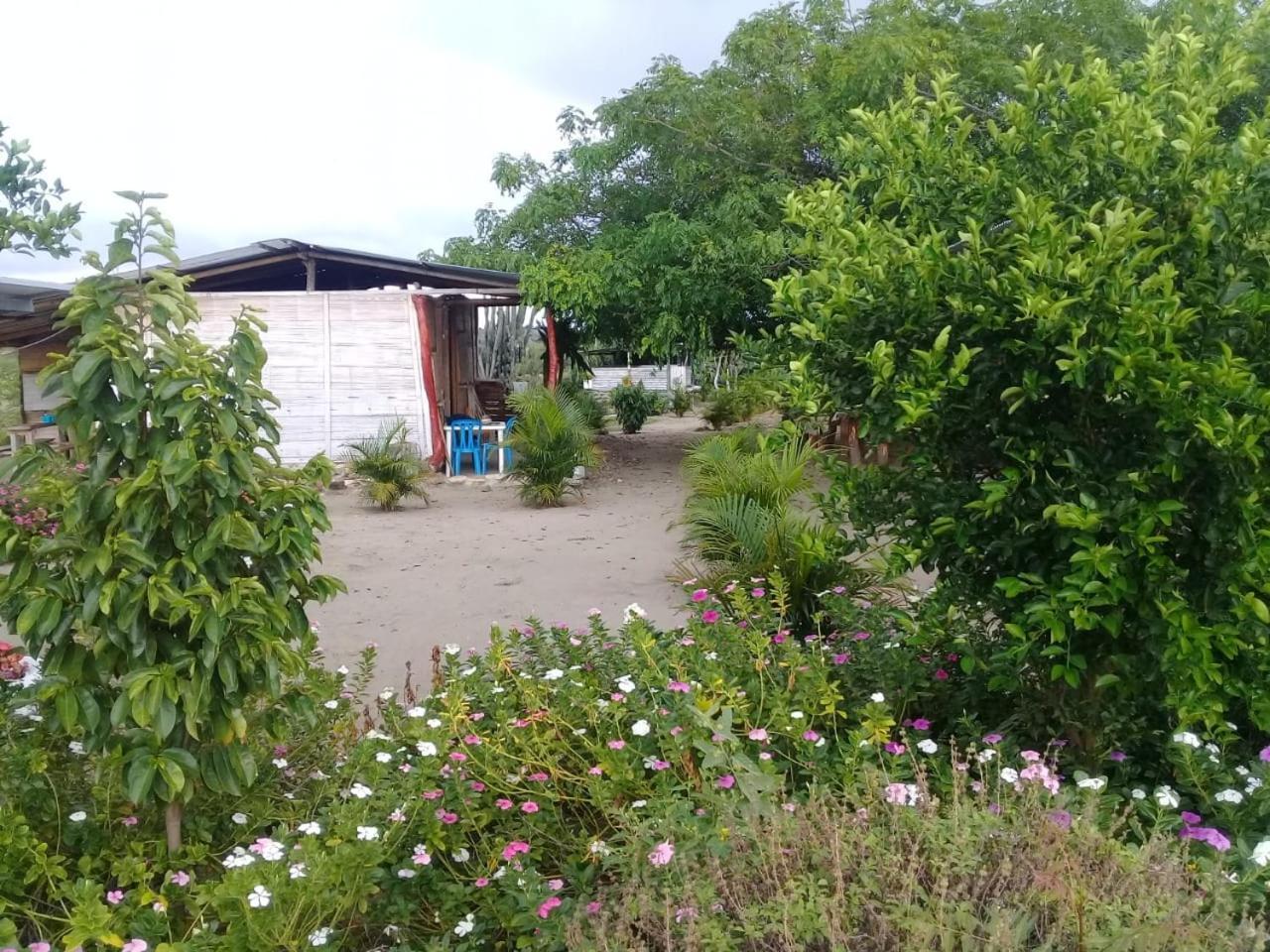 Pachingo La Primavera Villavieja Room photo